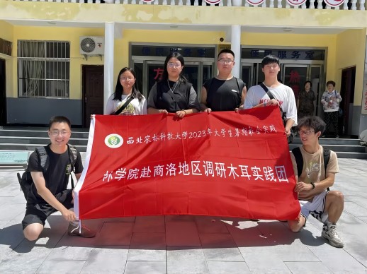 国产麻豆
赴金米村木耳考察团在党群服务中心前张晶茹图 (1).jpg