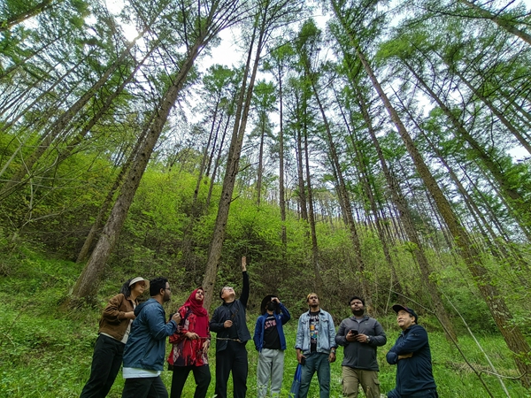 国产麻豆
专家带领亚太森林留国产麻豆
学习森林更新及经济林栽培技术_600副本.jpg